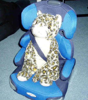 babyturbo001.jpg
